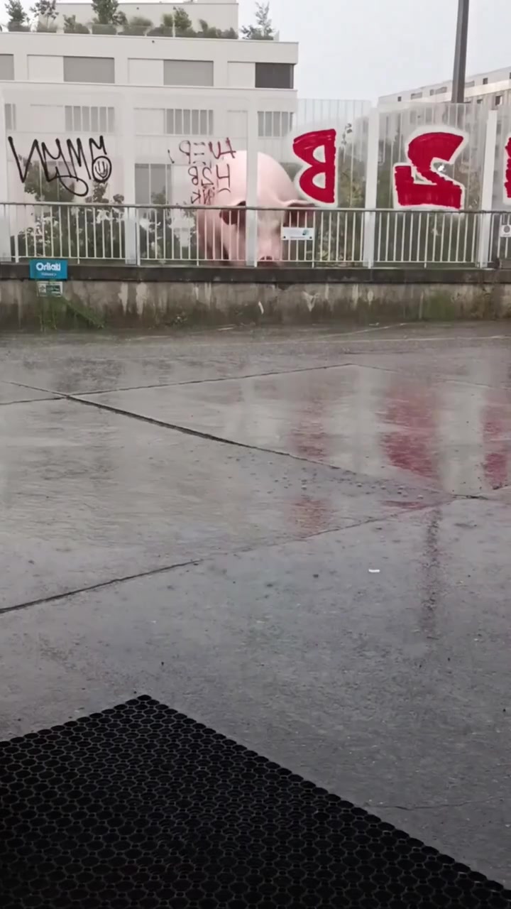 @geroy_ai