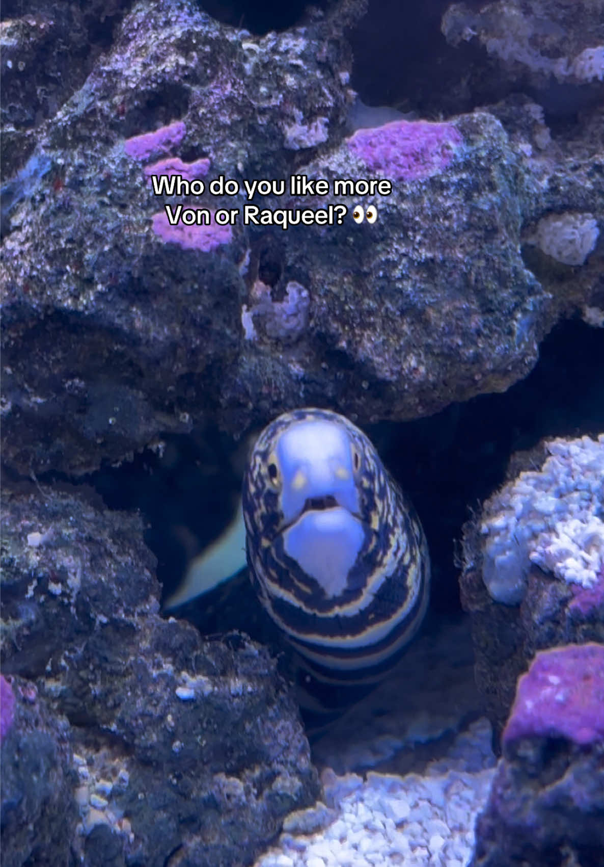 @ReefSync