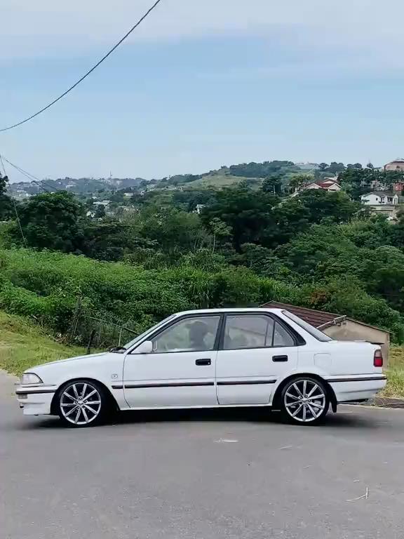 @still mshana