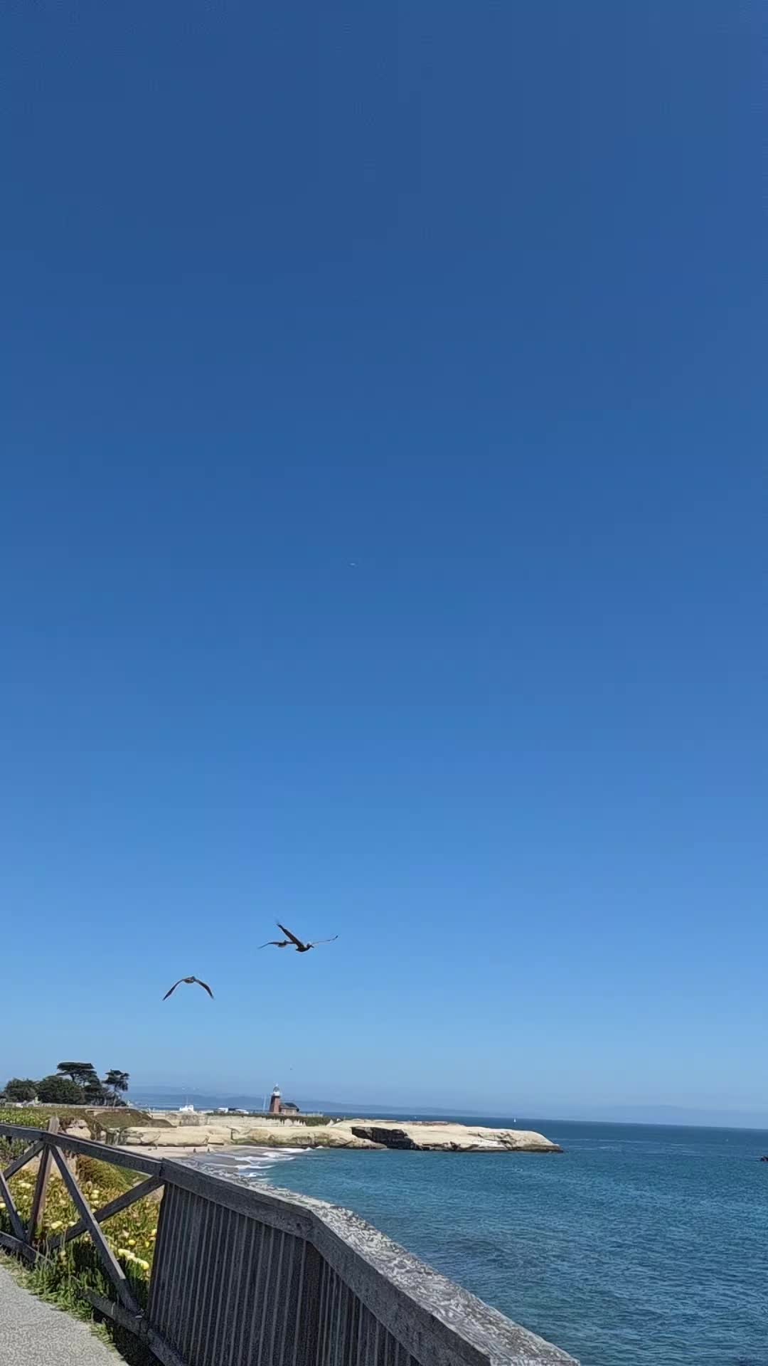 @CaliforniaKisses 🌬💕