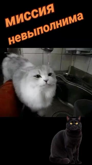 @Інна_Білоус737