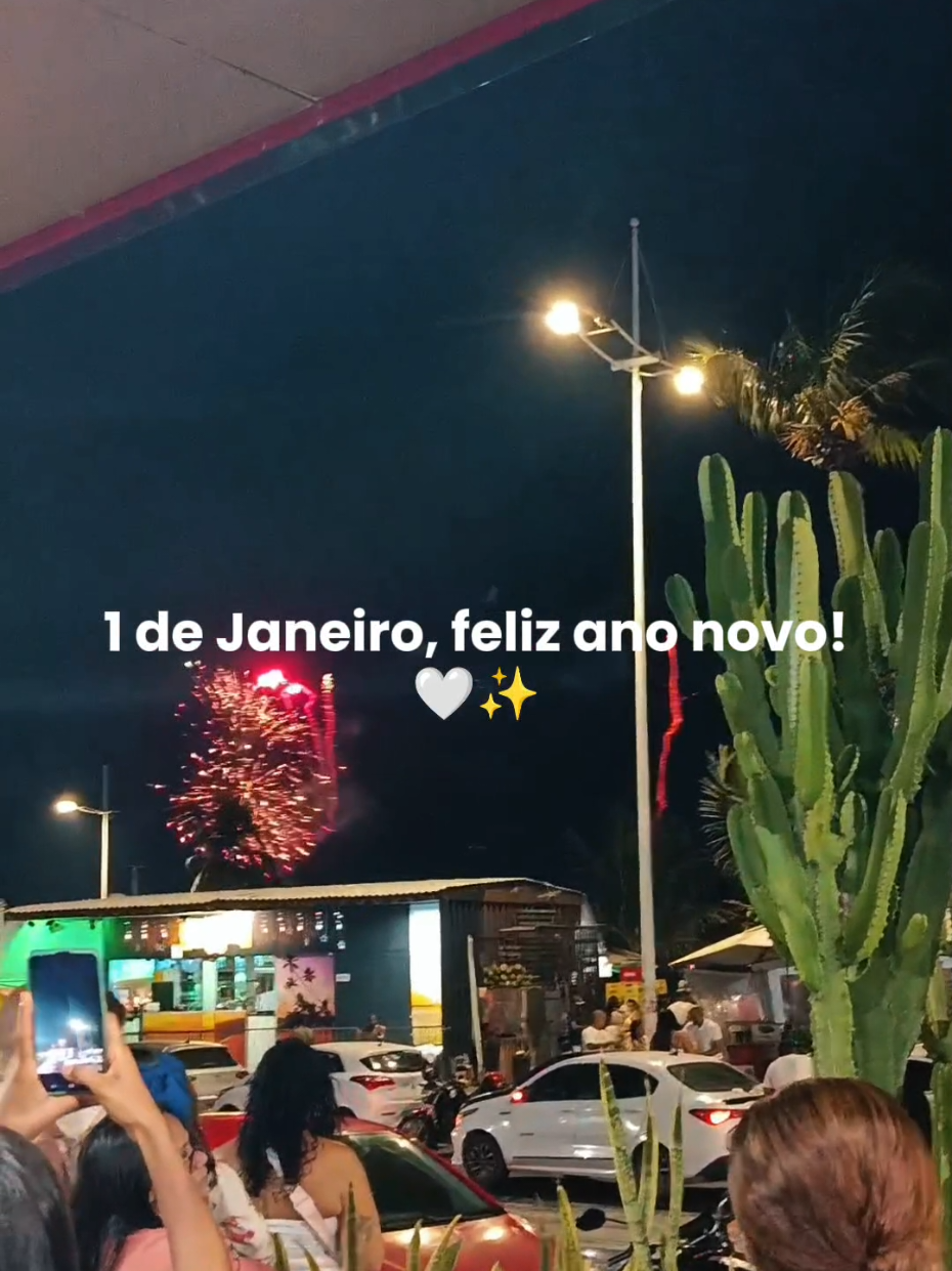 @joice lemes