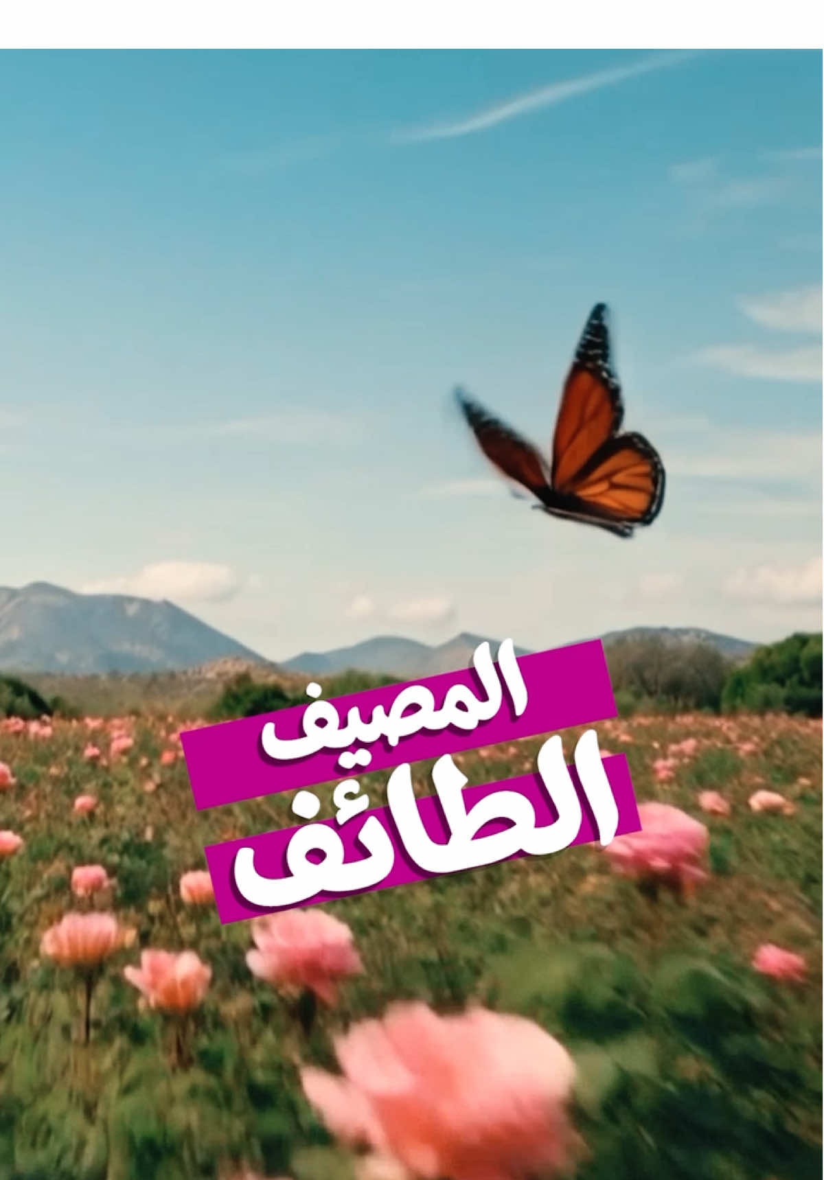 @Visit Saudi