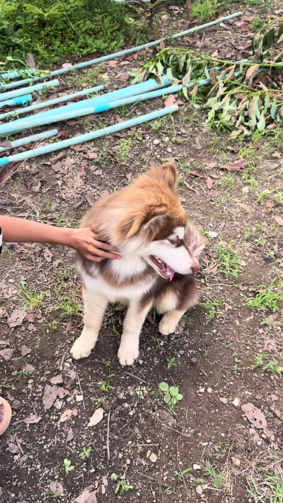 @𝗥𝗘𝗬