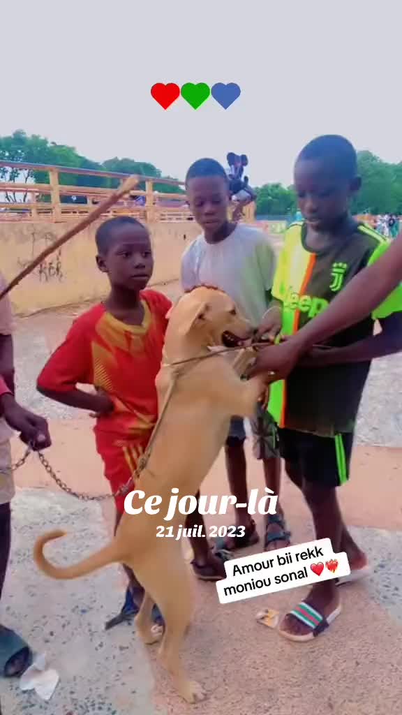 @Momoparleauxchiens🇸🇳🇩🇪