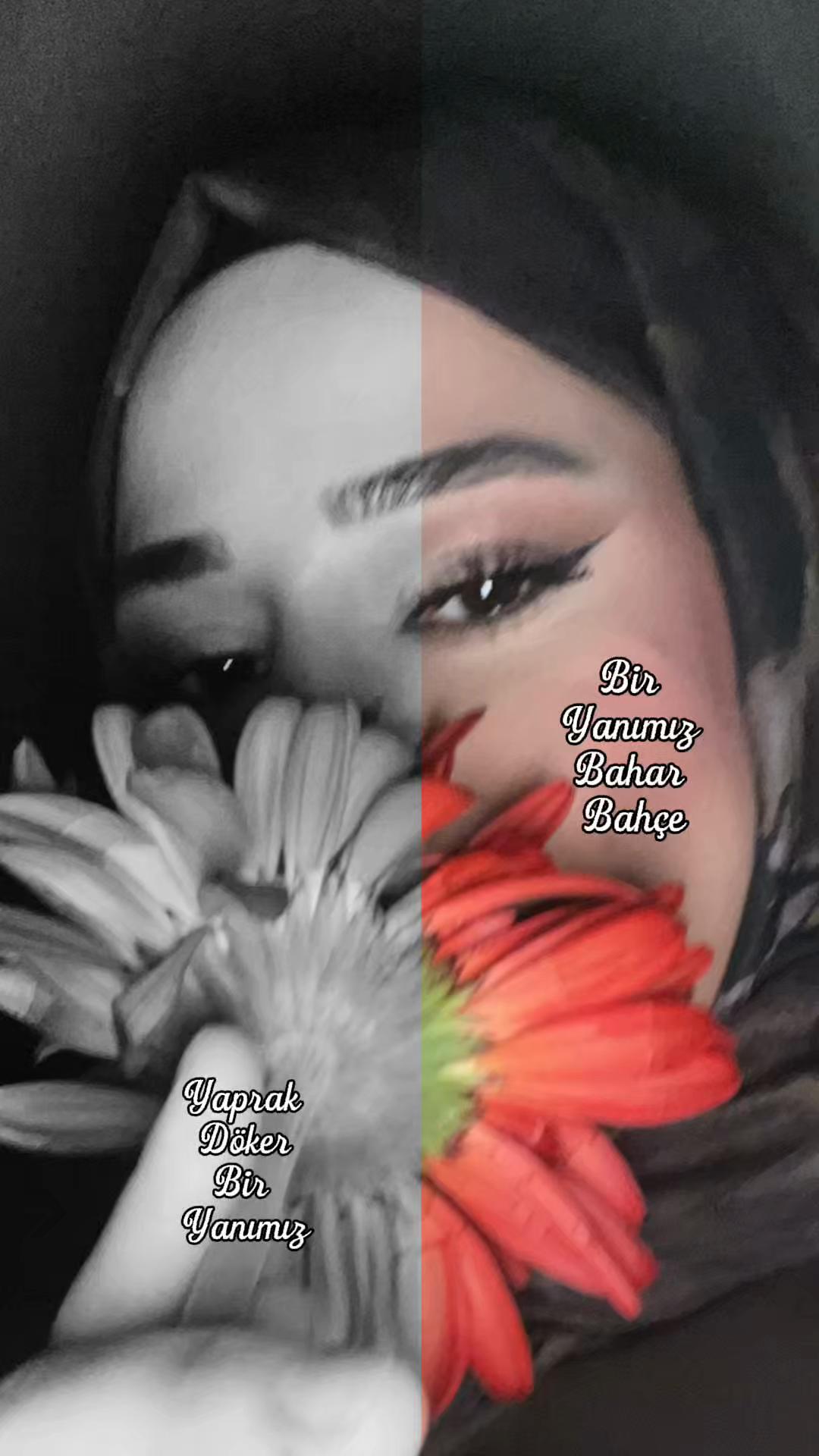@๐๐ล๐๐ü๐ ๐ฆ๐ล