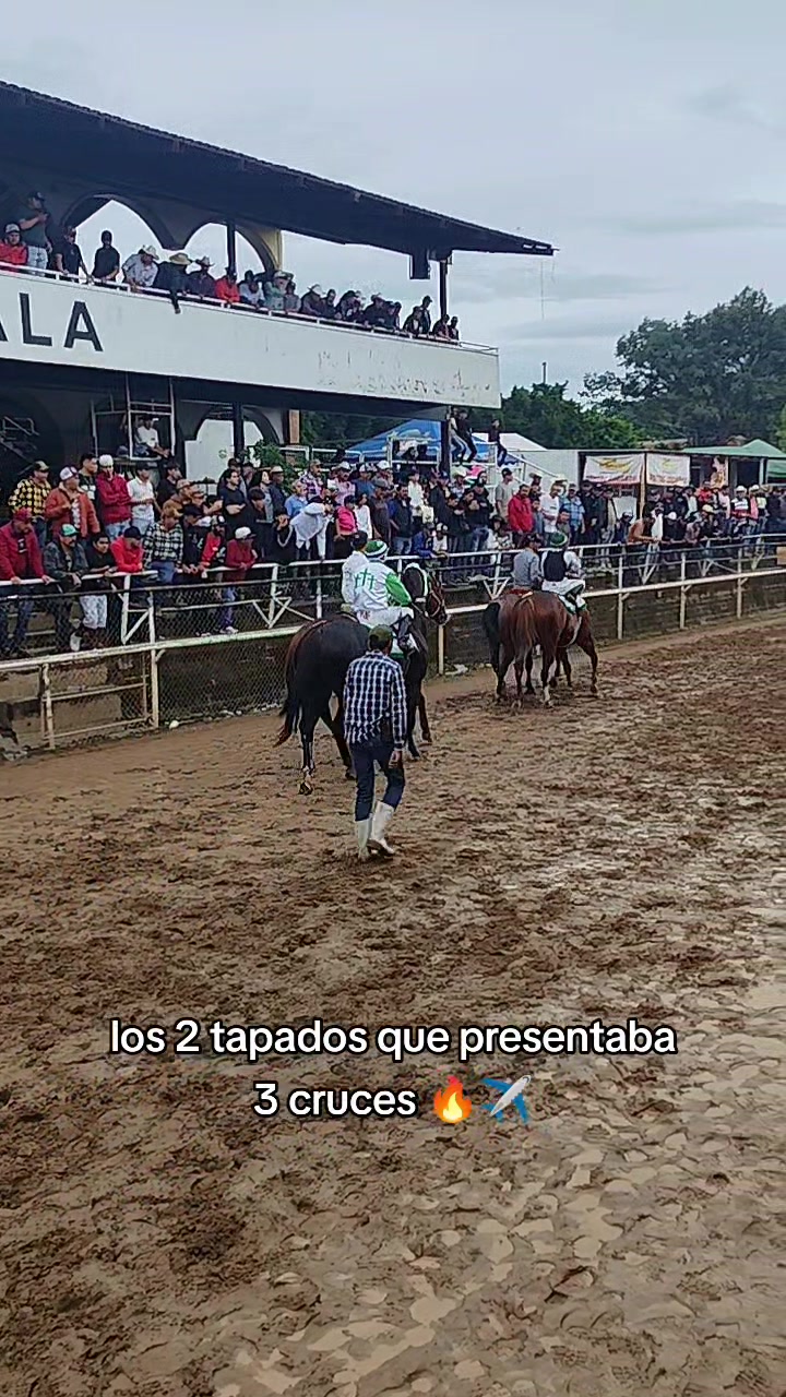 @carriles altos de jalisco🐎