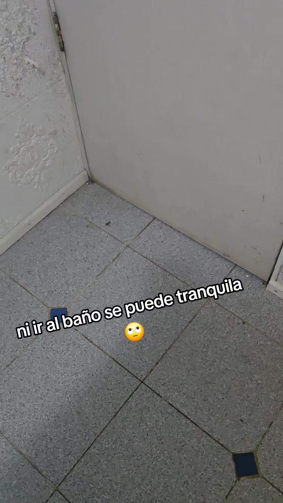@🌻𝓥𝓲𝓬𝓴𝔂🌻