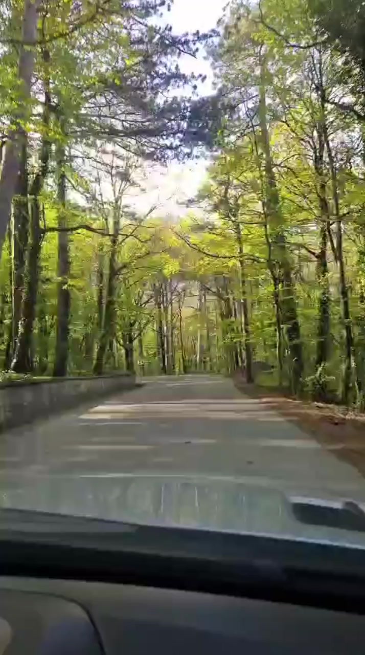 @katerina.kolyada