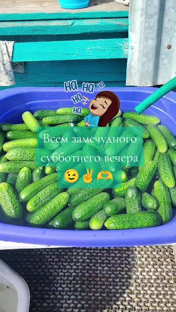@Дина Чепикова