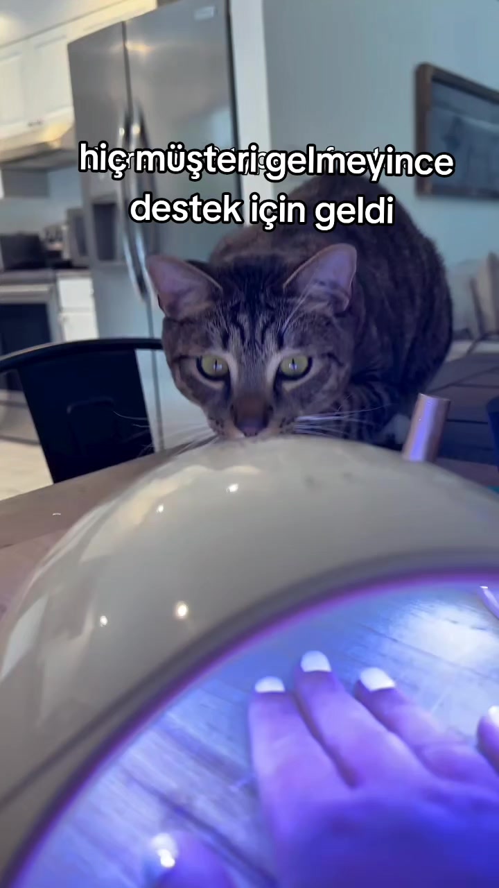 @rolland