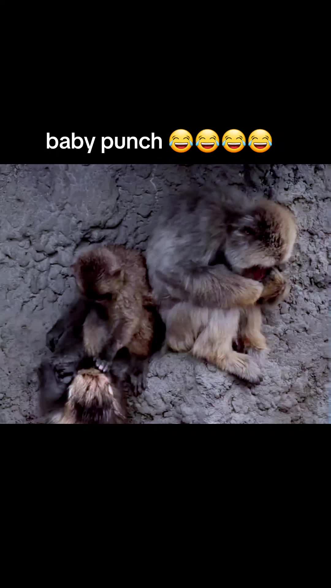 @Punch baby