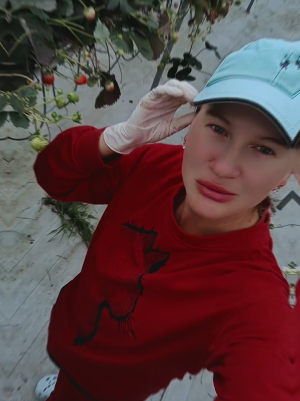 @Мелитина Богатая