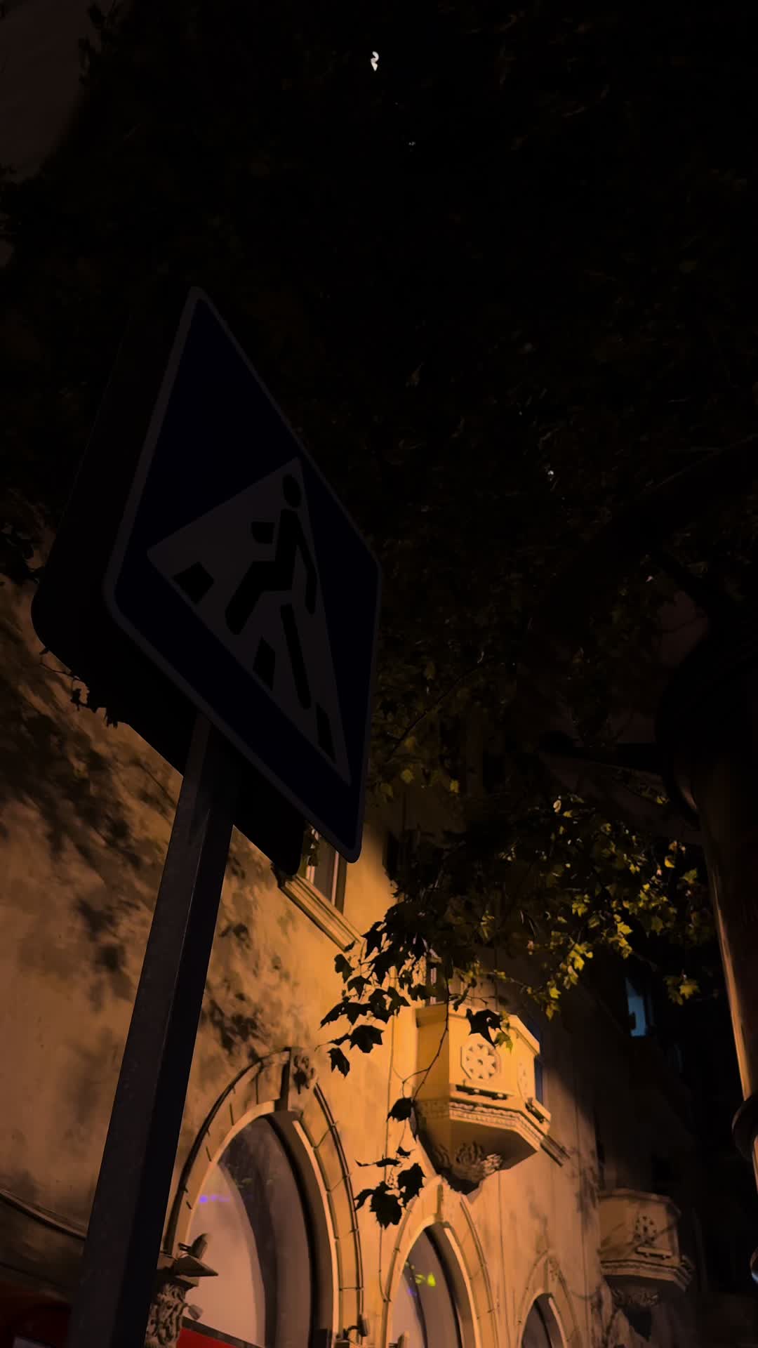 @Recebows⚡️