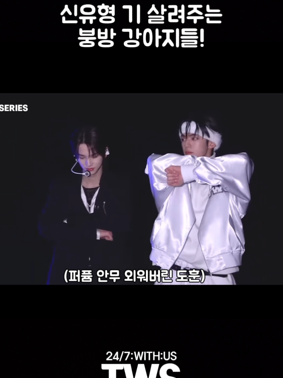 @흰둥이집사