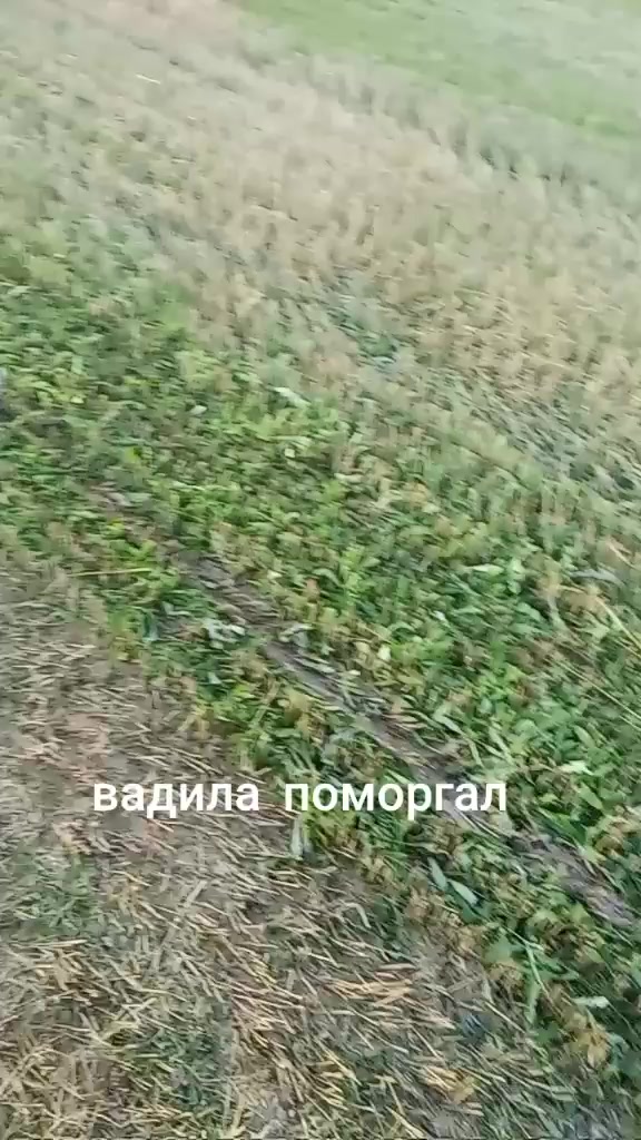 @🏎️Михаил Литвин🏍️