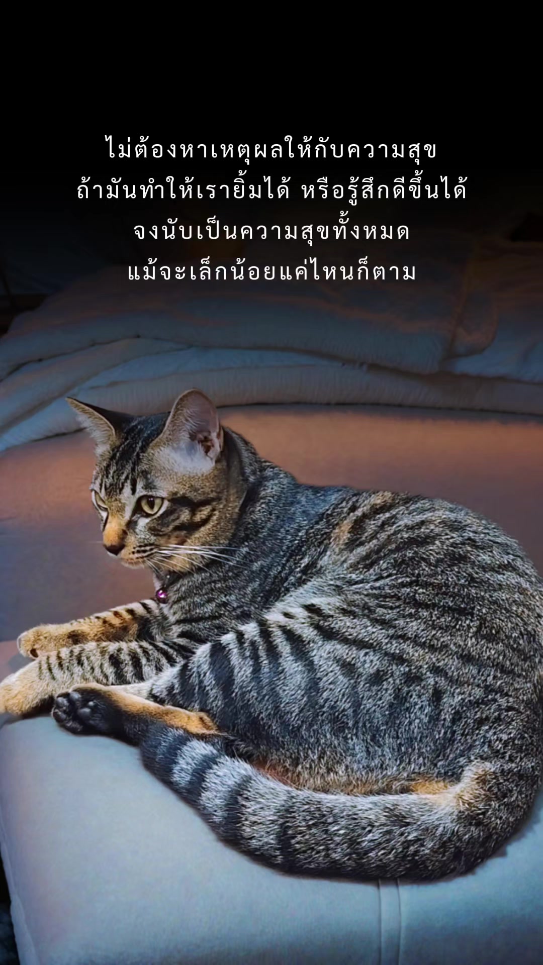 @Nana🕉️🇹🇭
