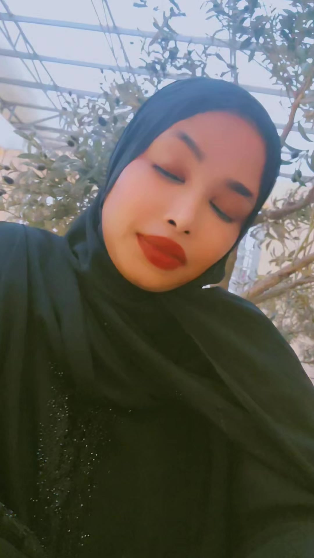 @Hodan collection