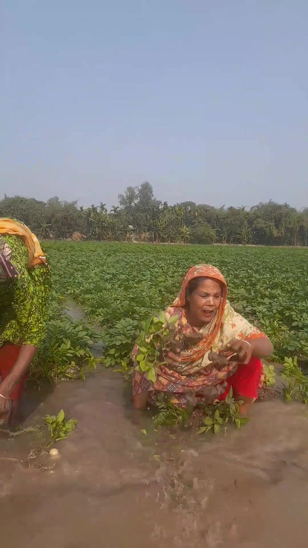 @চাঁনশাহ টিভি