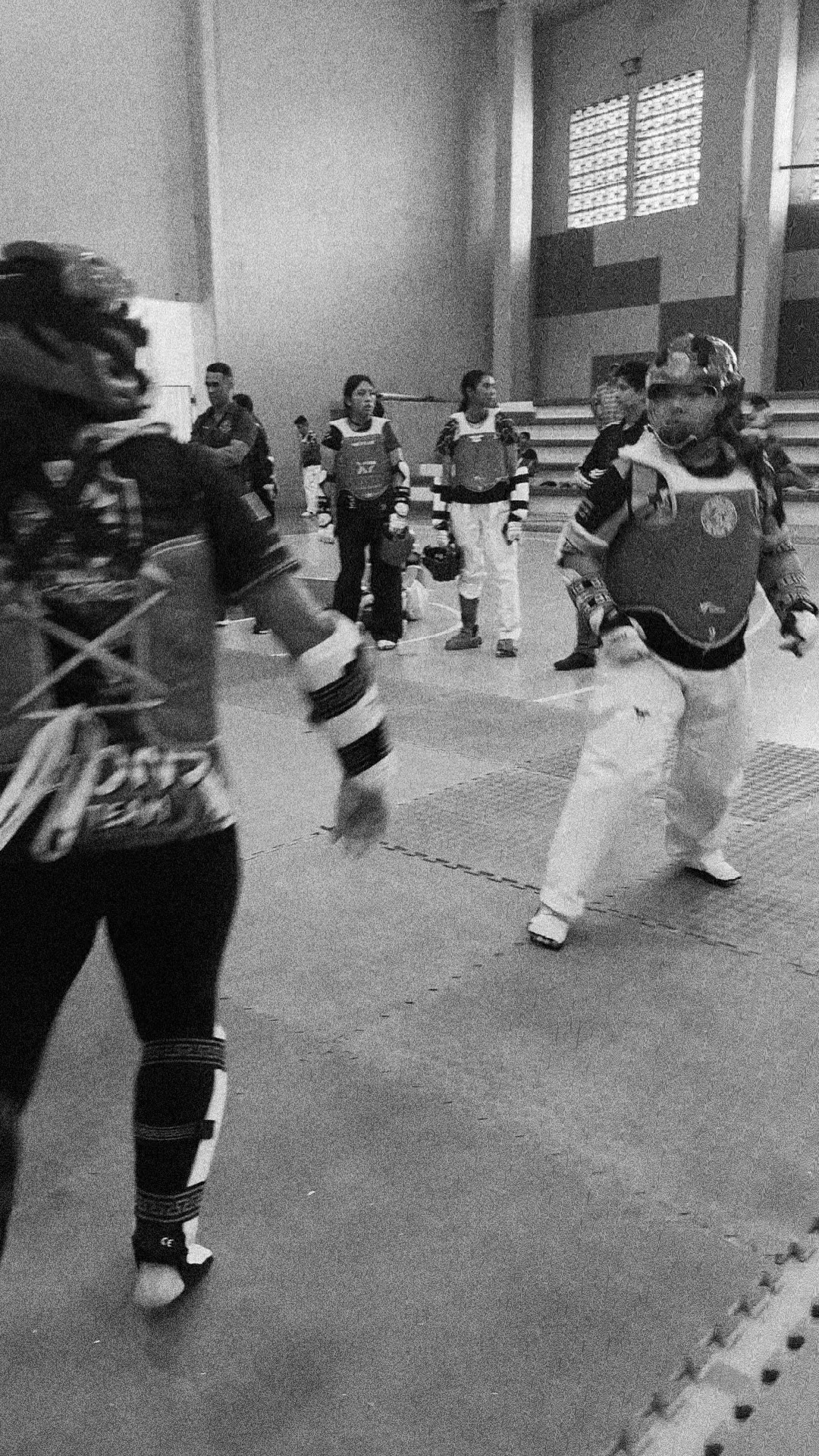 @taekwondolionsteam