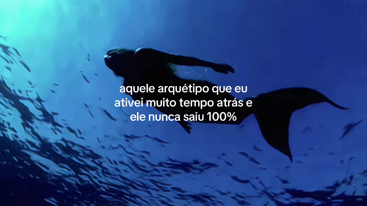 @VENUS ⋆˚꩜｡
