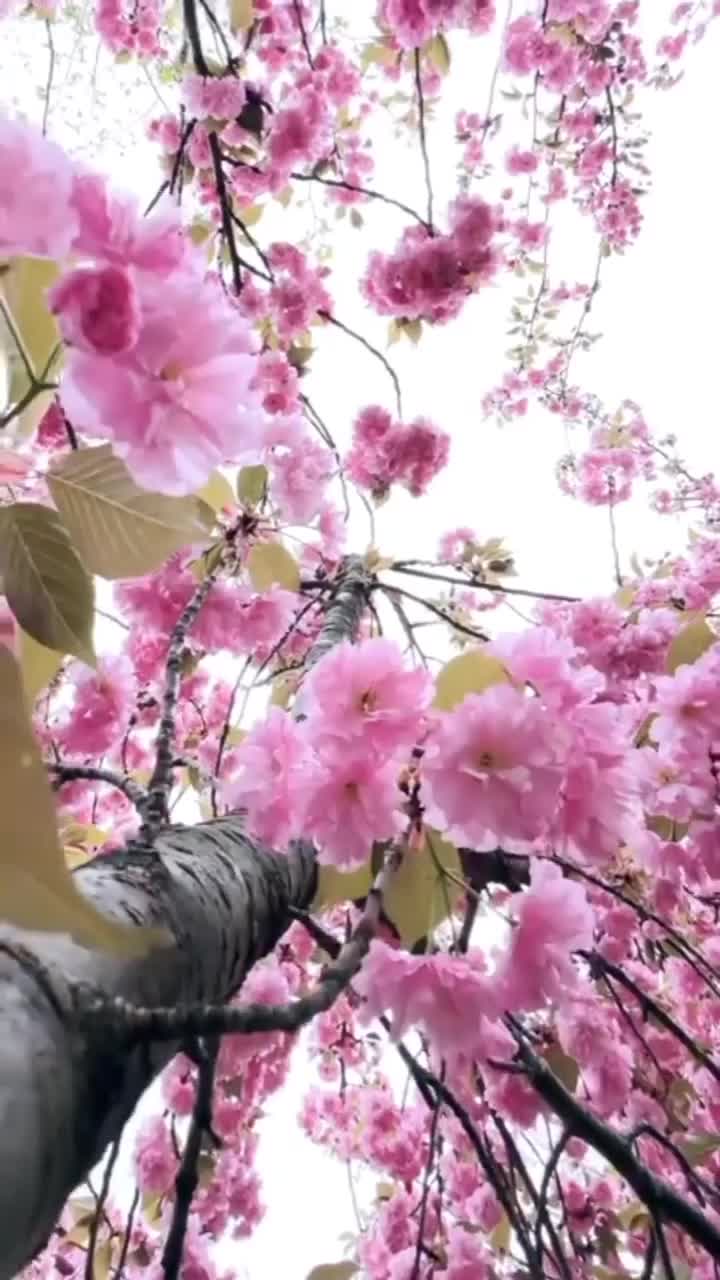 @최민수