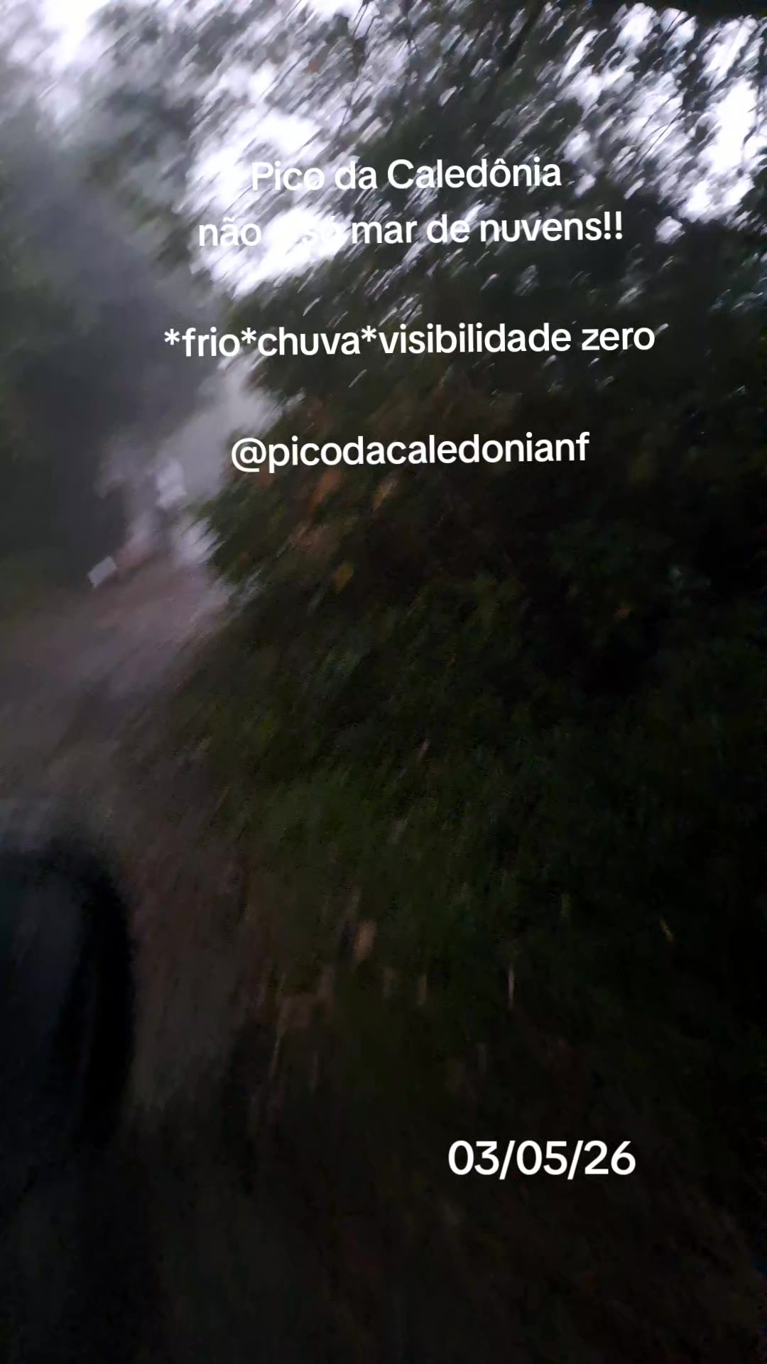 @sjb.adesivos