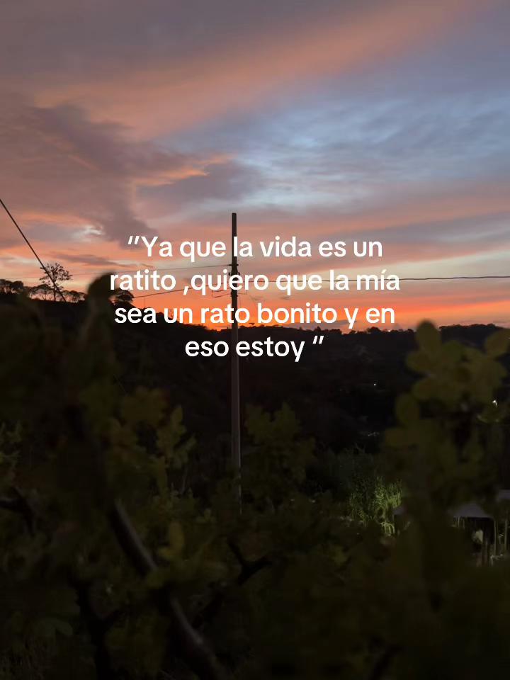 @dany412