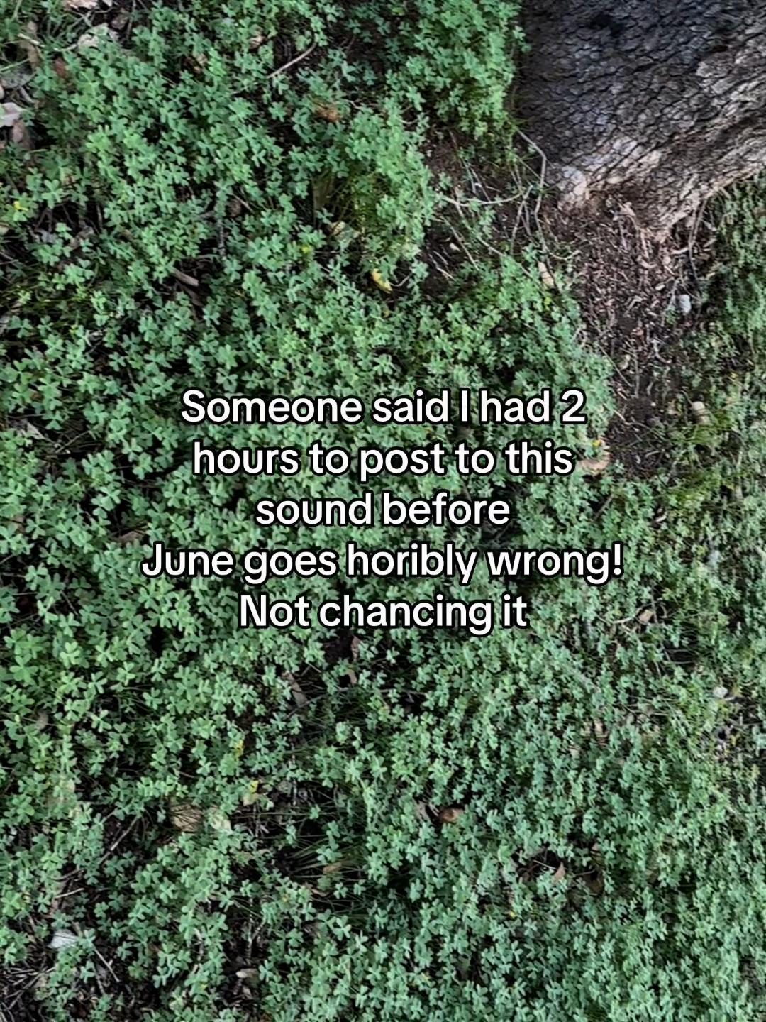 @sm0ked.9