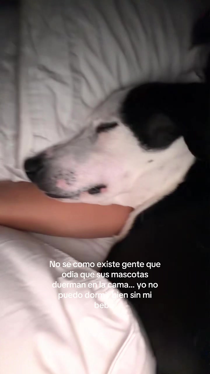 @Isaaaa