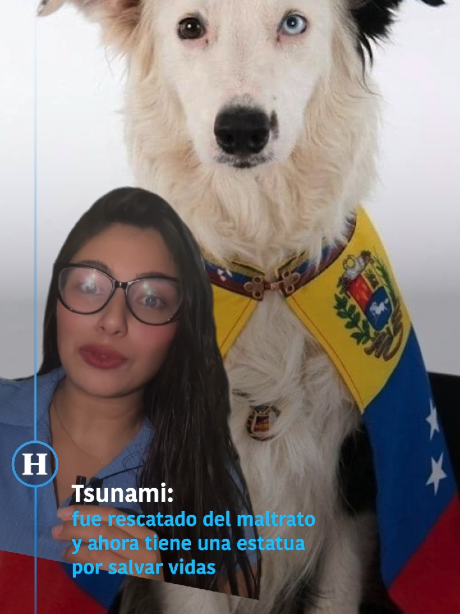 @elheraldodemexico