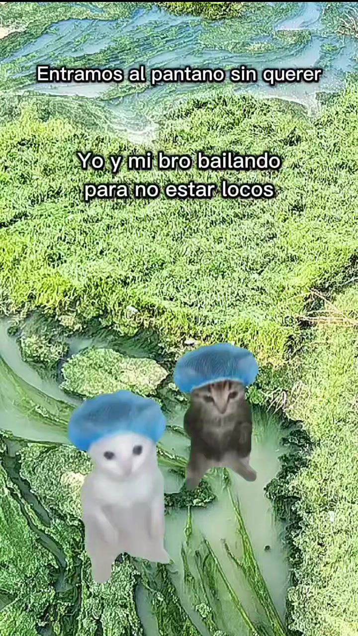 @Luan