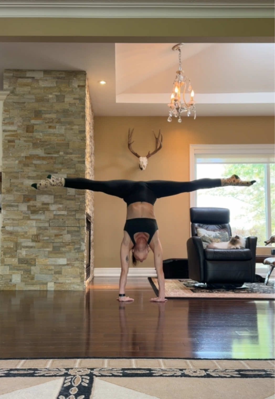 @jessica_inverted