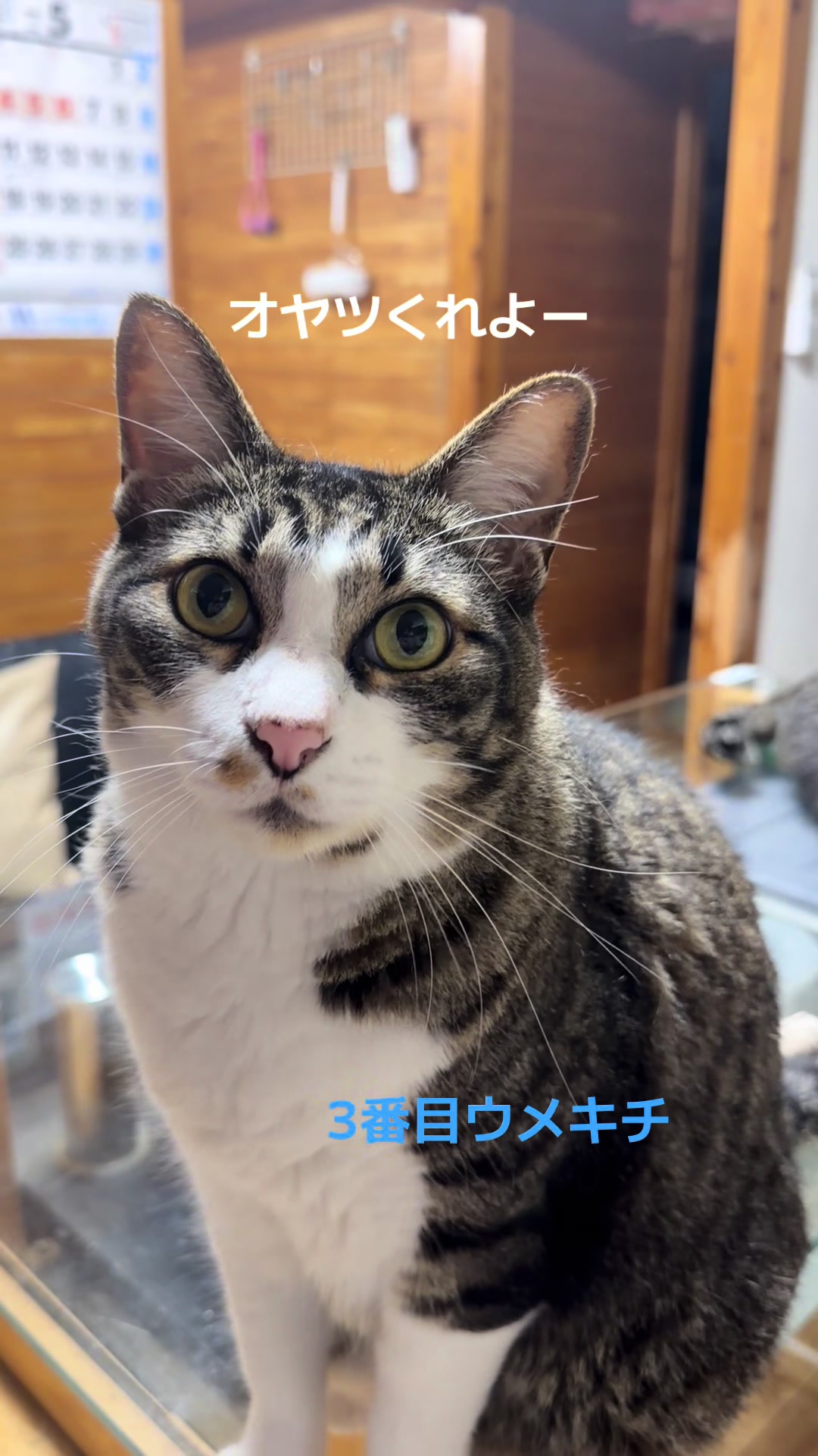 @てるぼー