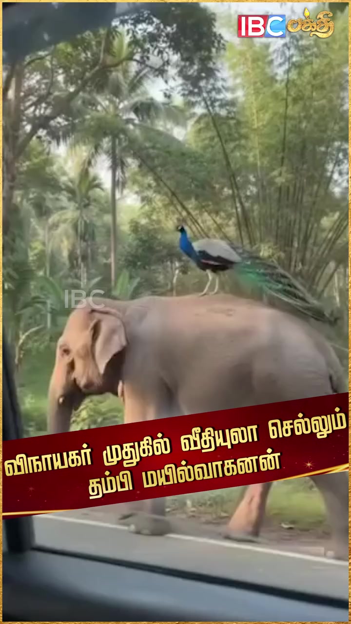 @shashanth Bharath