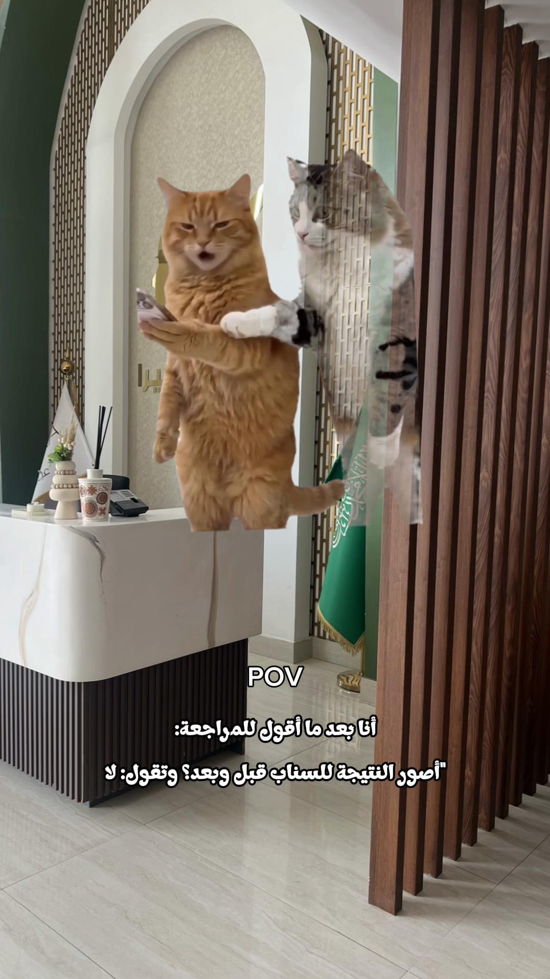 @عيادات لافيرا حي اليرموك