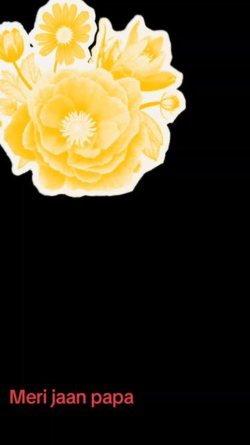 @🙏🙏.Shahbaz🥹🥹 Mangrio🌹🤌🌹