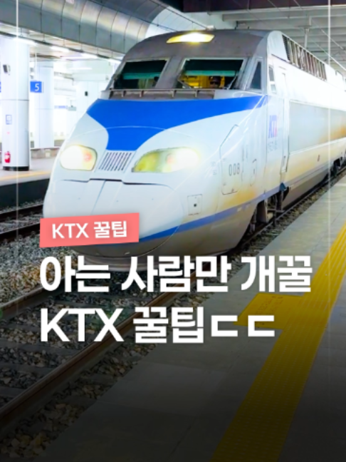 @짤컷