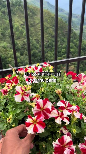 @Roshan stha