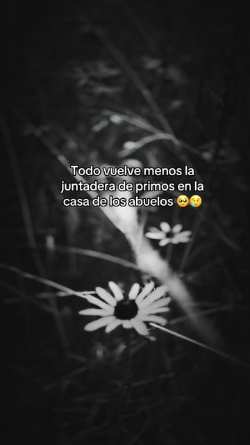 @๐ฃ๐Ávalos๐๐ฅ