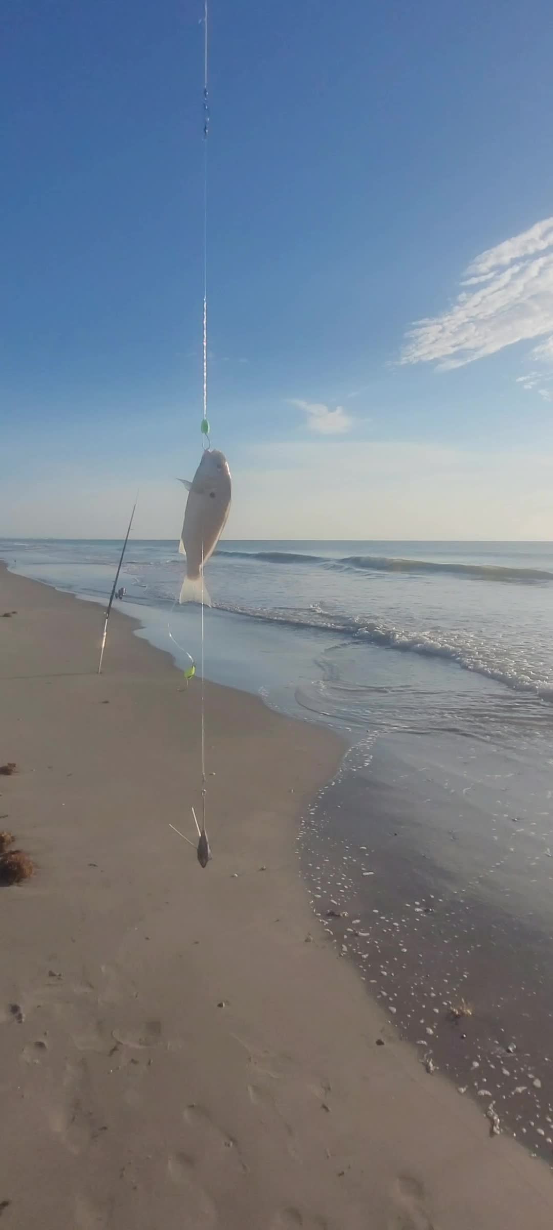 @Ghost of Space Coast Fishing