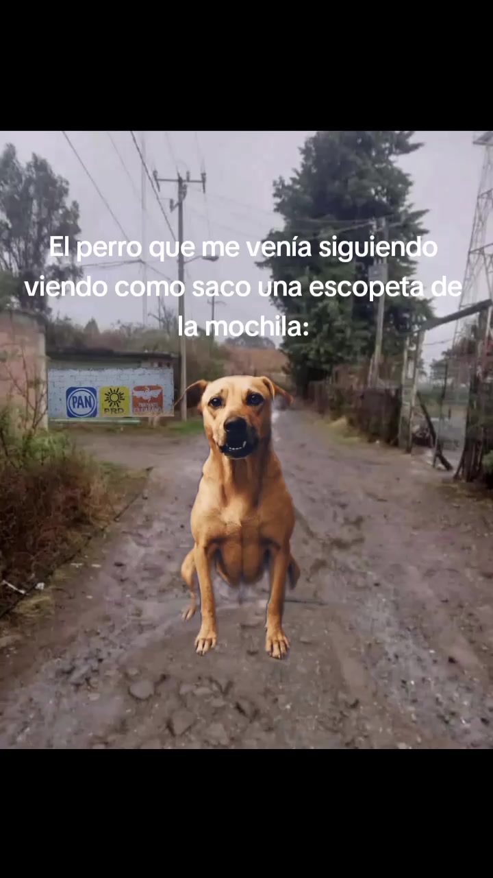 @▸