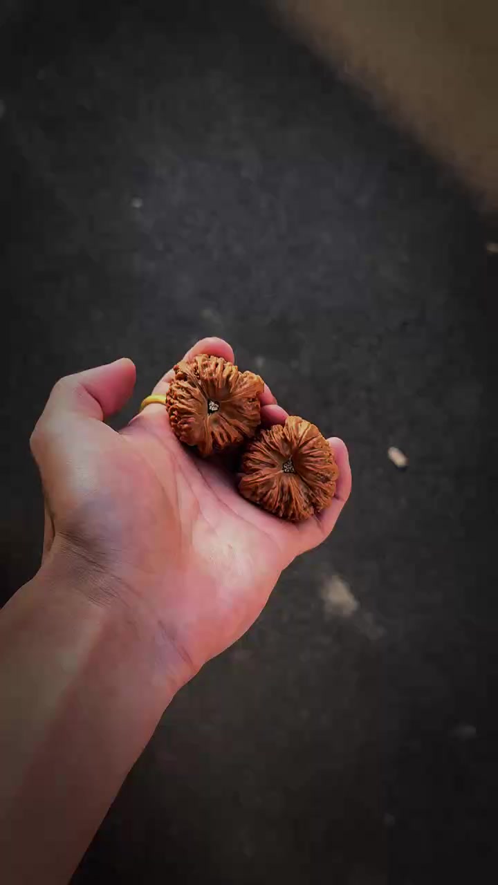 @GẤU HỒ Đ&Agrave;O
