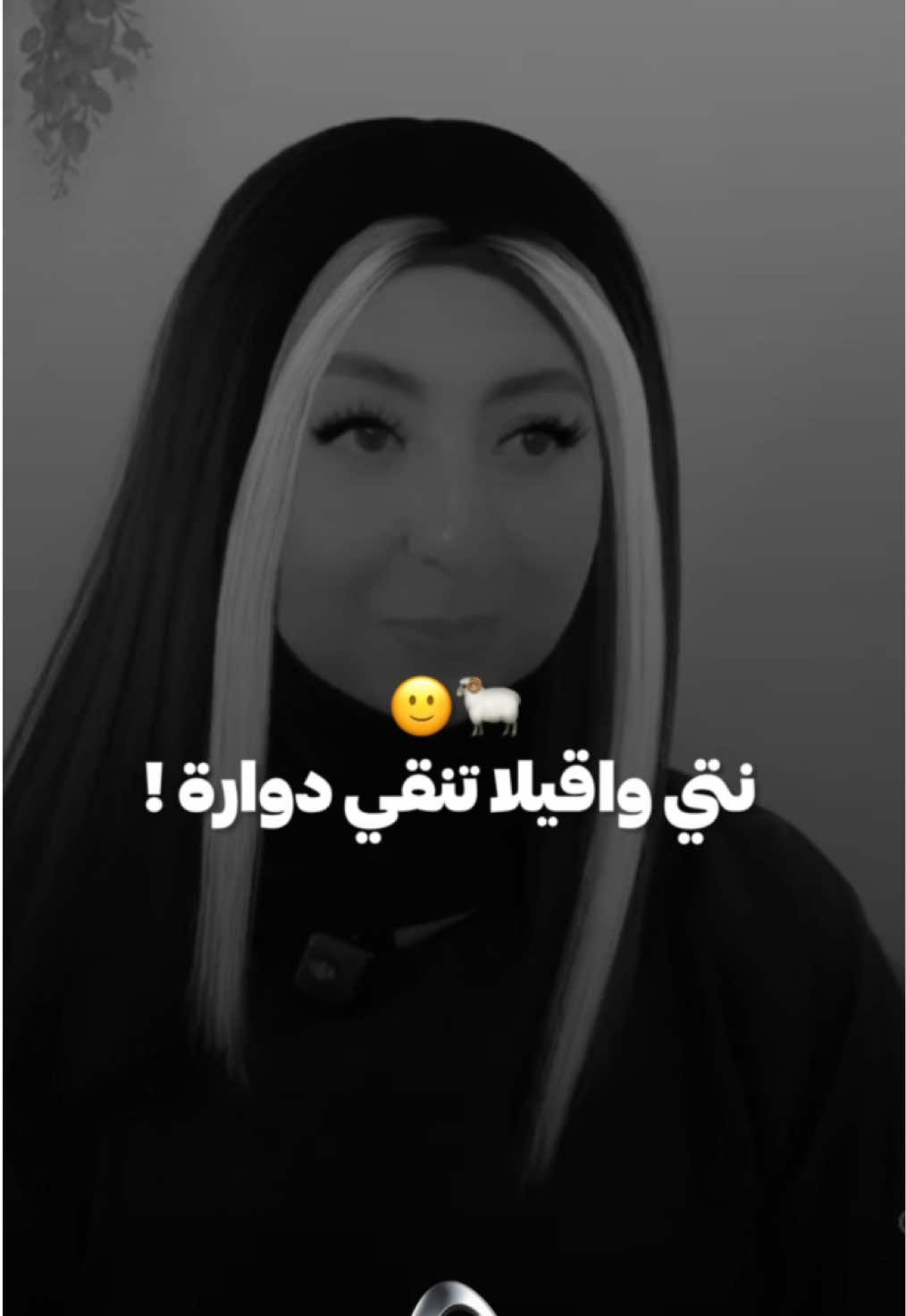 @⚜️ AneSound 2 ⚜️