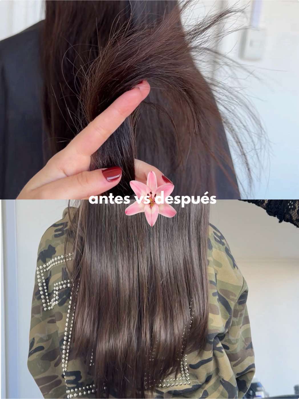 @catita