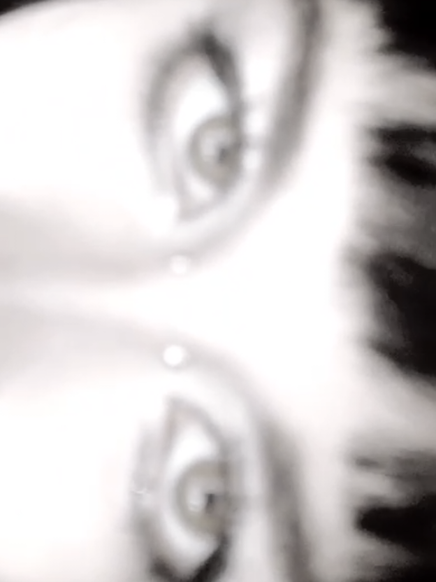 @hðlɏmð†hêr