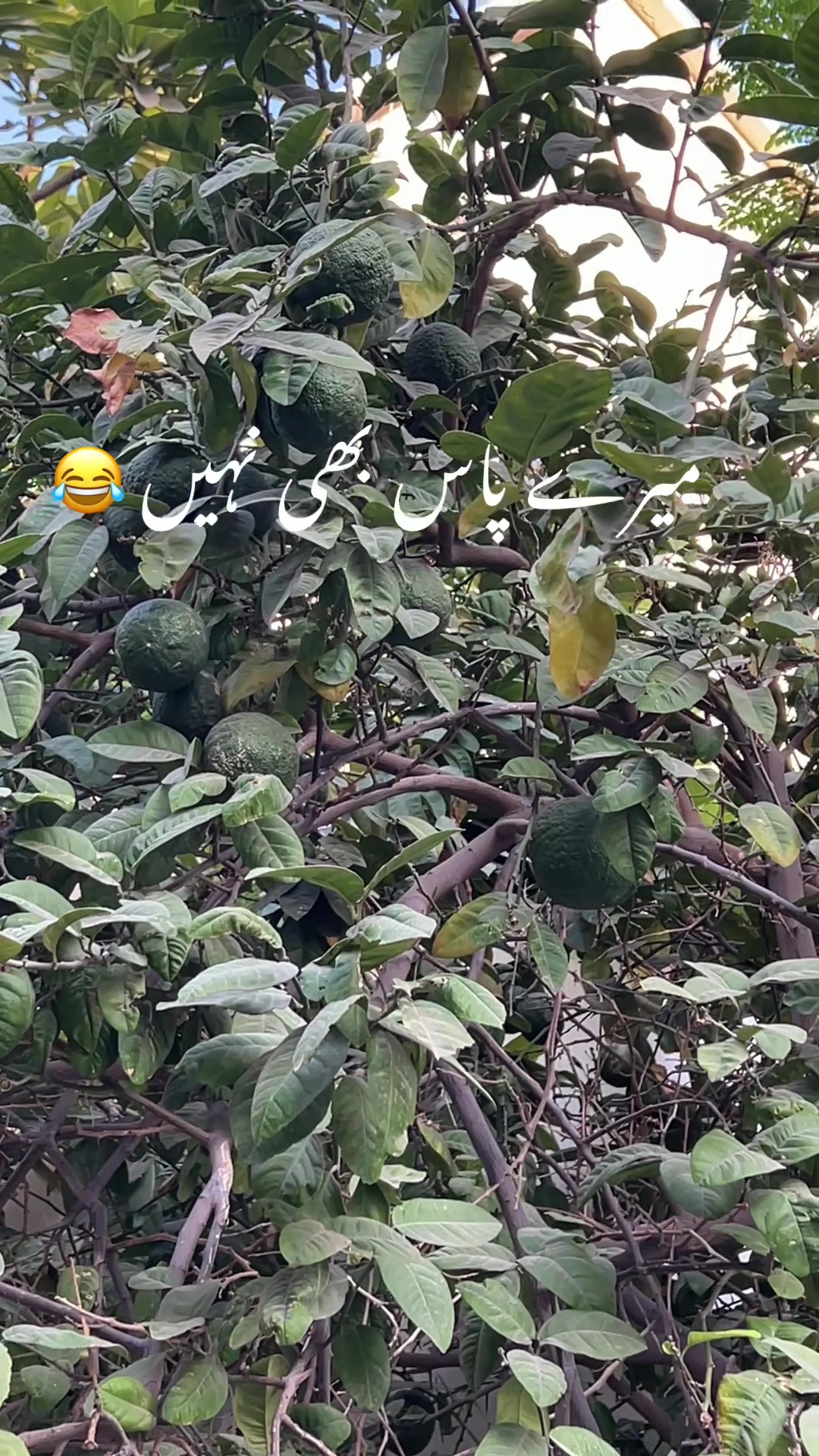 @I'm decorist 🇵🇰🇧🇭