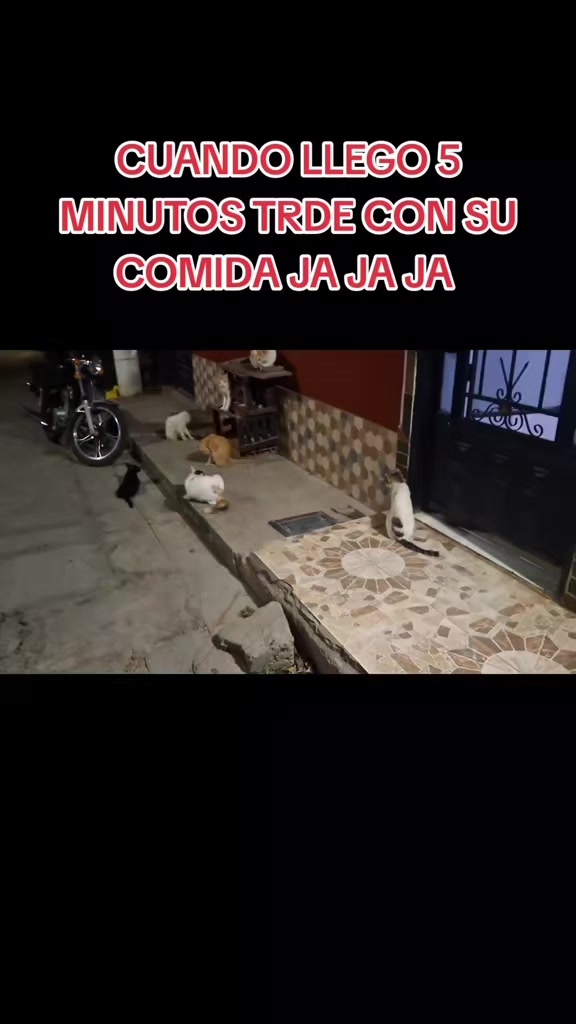 @ARIAS RESCATA