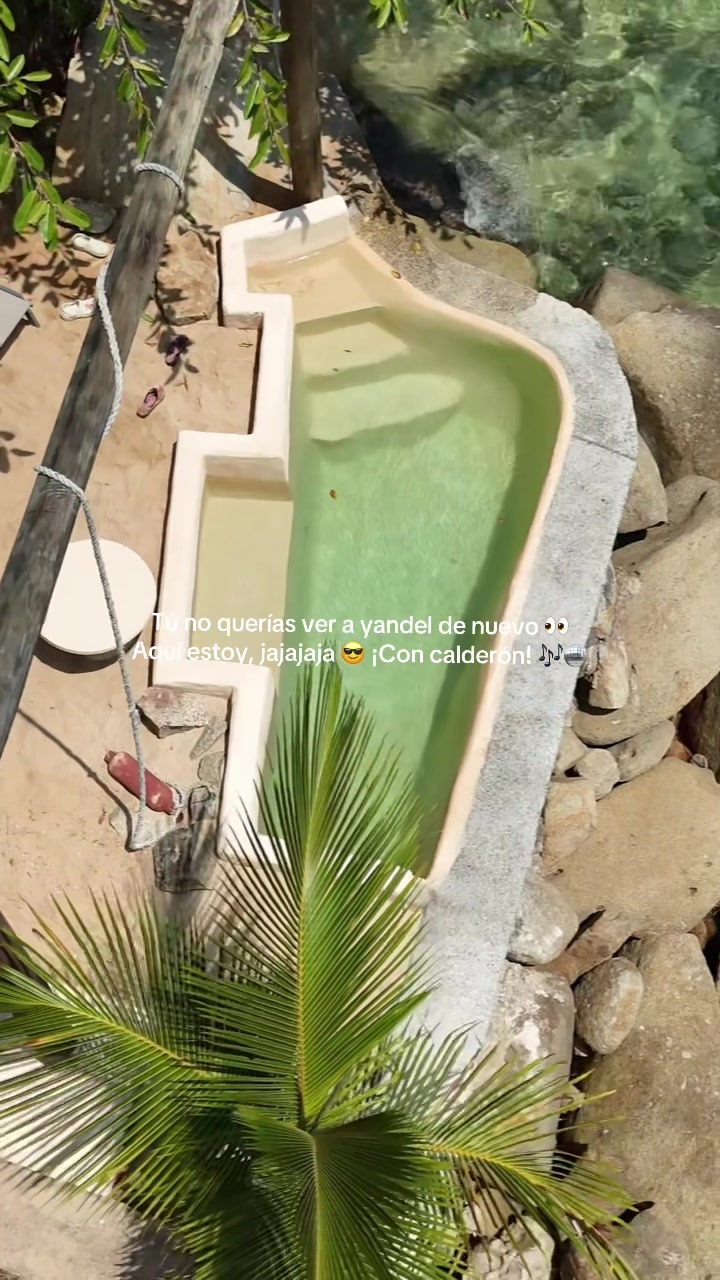 @greenmango_sup