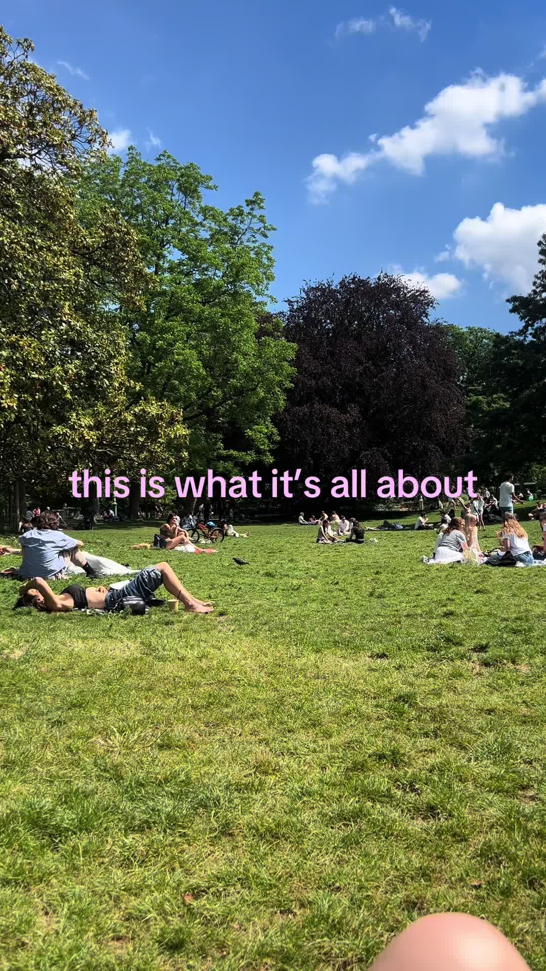 @h.ttps.rose